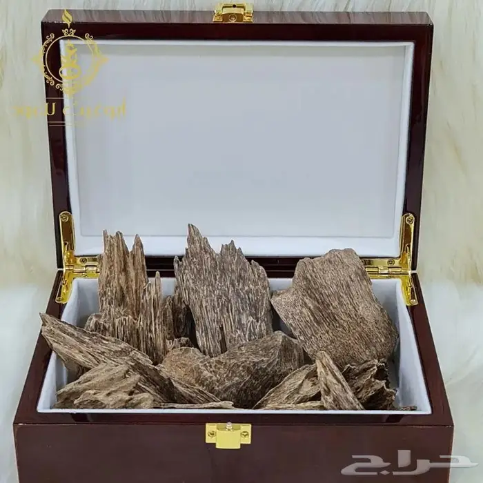 عود كلمنتان مالينو.. أبوغيث للعود 0