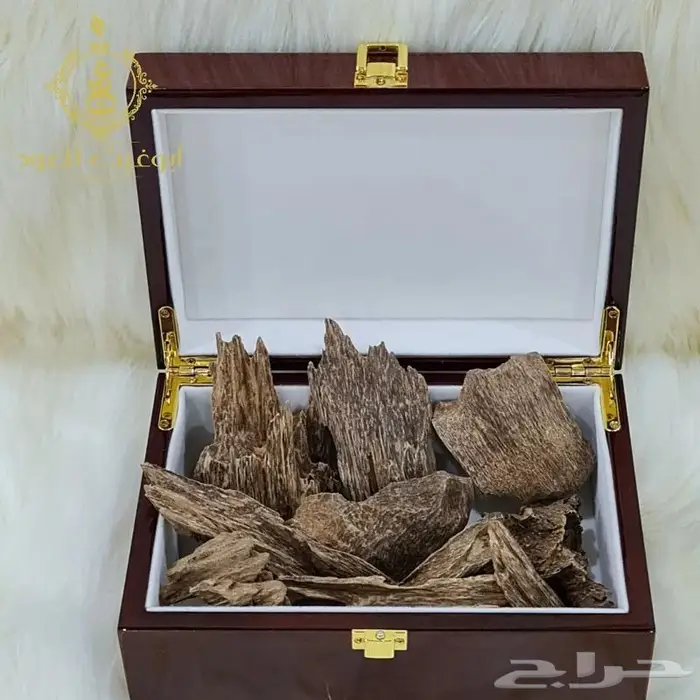 عود كلمنتان مالينو.. أبوغيث للعود 1