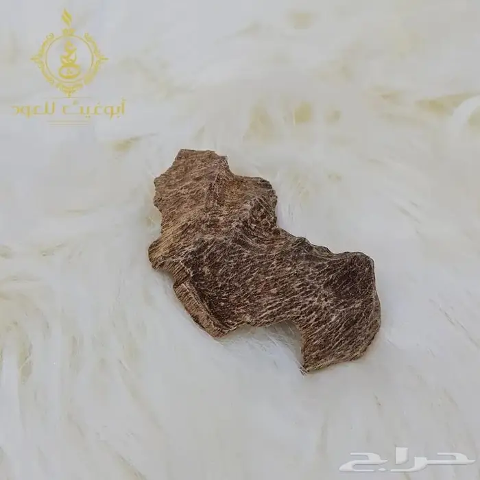 عود كلمنتان مالينو.. أبوغيث للعود 2