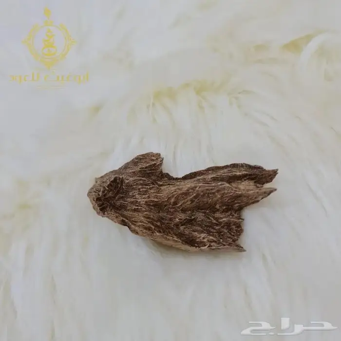 عود كلمنتان مالينو.. أبوغيث للعود 3