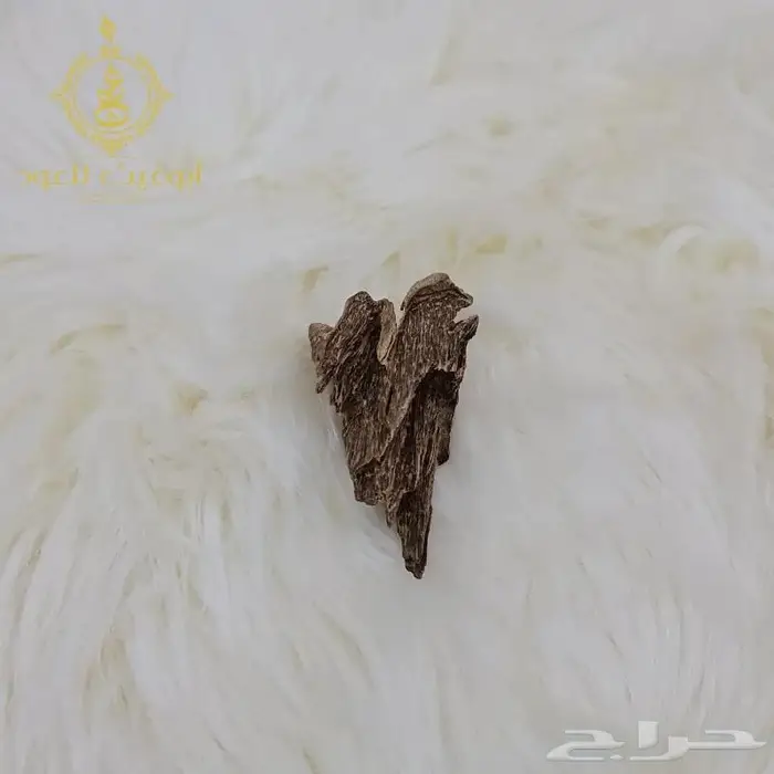 عود كلمنتان مالينو.. أبوغيث للعود 4