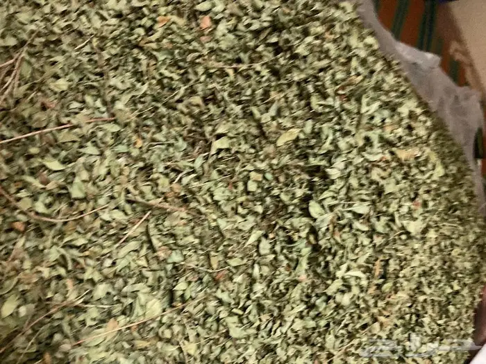 حنا المدينة حنى درجة ممتازة لون ورائحة 1