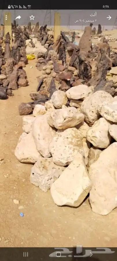 حجر مظبي وحجر مرو حجر حدائق حجر صحي (طبيعي) 22