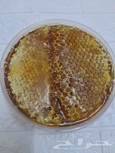 عسل بلدي ومستورد بجميع أنواعه وزيت زيتون الجو 5