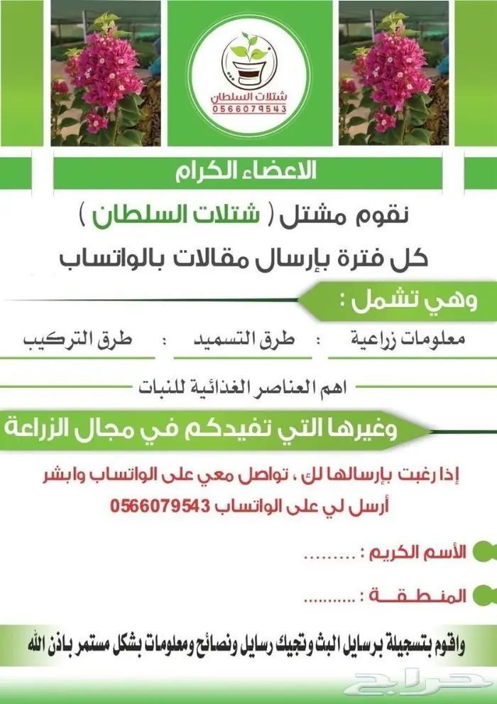العرض الاقوى للشتلات من ريال ونصف فأقل 16