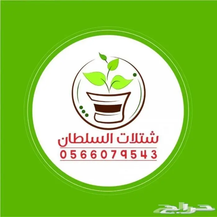العرض الاقوى للشتلات من ريال ونصف فأقل 54