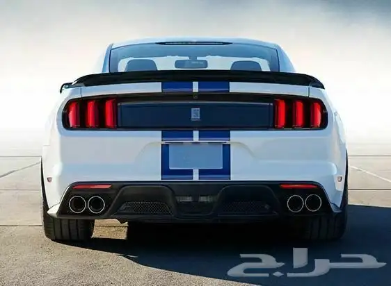 جناح موستنق موستنج شيلبي شلبي 2015 وفوق 3