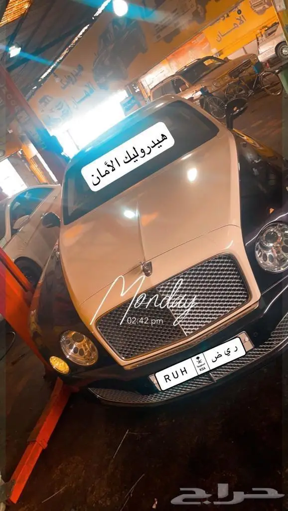 دودة الدركسيون مع الصيانة 2