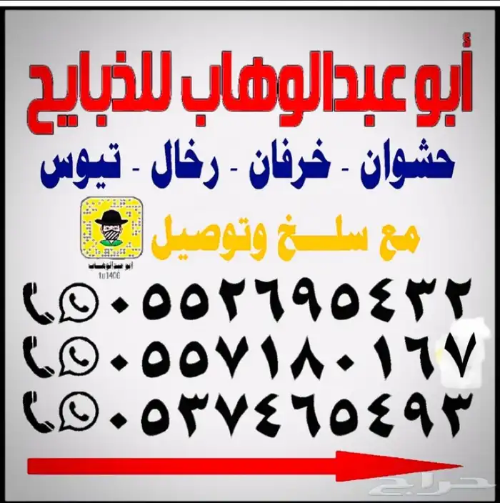 ذبايح خرفان جبره وثلاجات مع السلخ والتوصيل 12