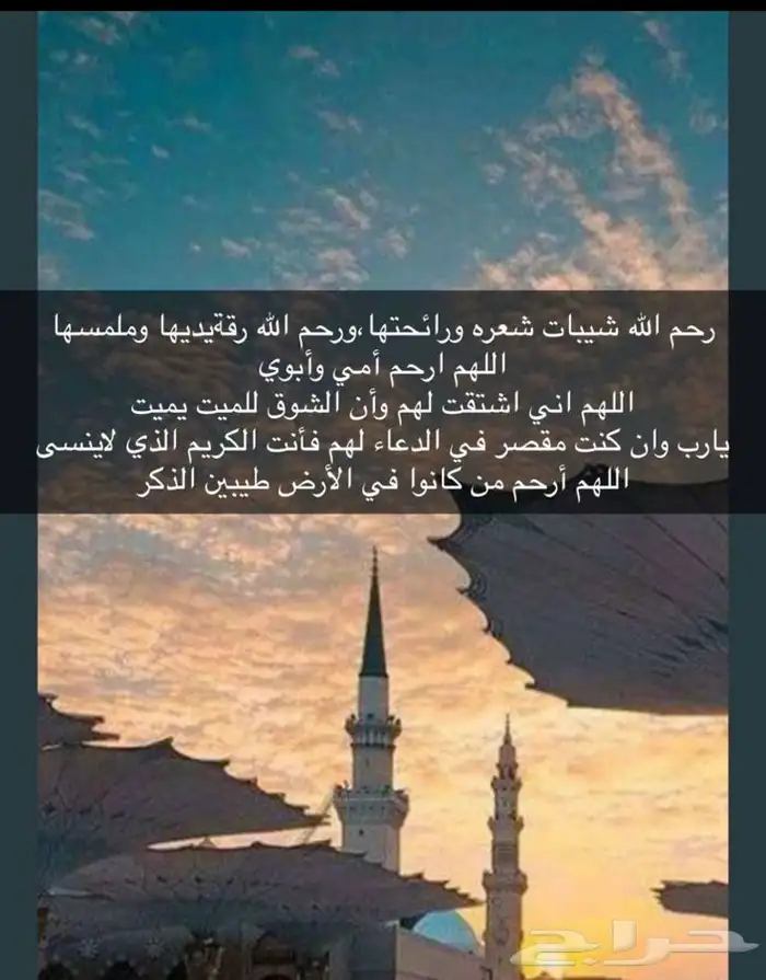 تبوك تبوك 0