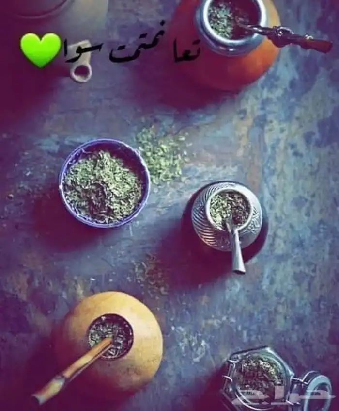 متجر عالم المته 4