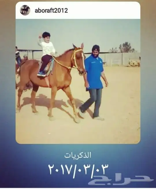 تعليم الفروسية 0
