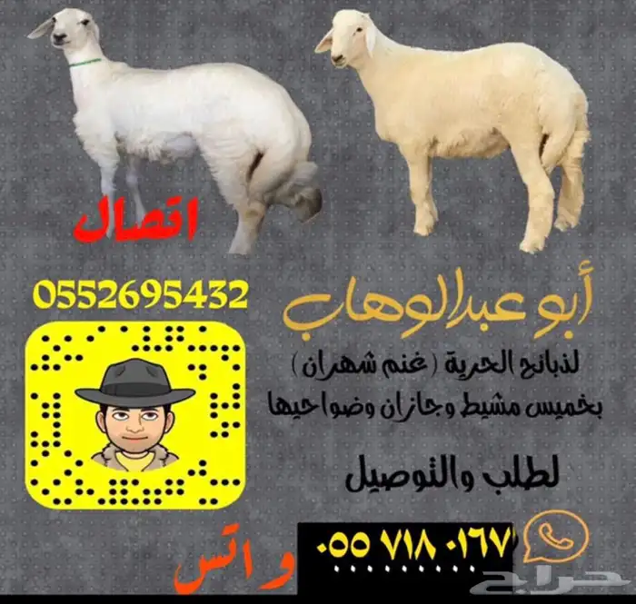  ذبائح خرفان ورخال من غنم شهران مع السلخ والتوصيل 10