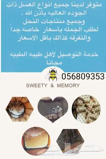 خلايا نحل بلدي للبيع وعسل طبيعي (جملة وقطاعي) 16