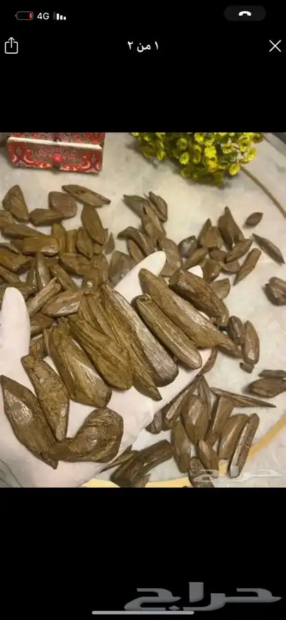 عود طبيعي محسن 0