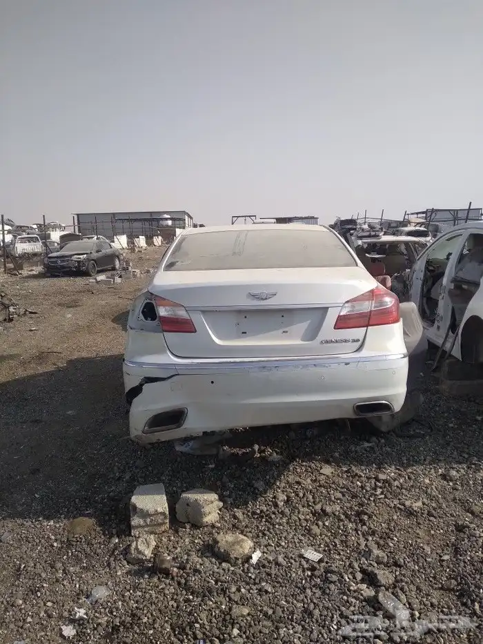 نيسان جوك ورينو سفران وسنبل 7