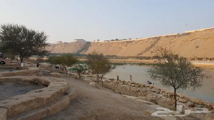 فقاسات جميع لاحجام مع هدايا وضمان شحن مجانيه 11