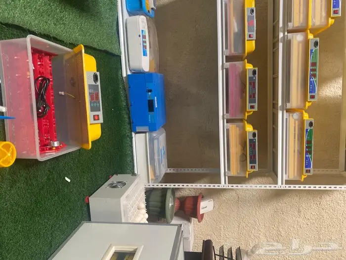 فقاسات جميع لاحجام مع هدايا وضمان شحن مجانيه 0