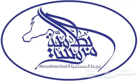 مطبوعاتك بين يديك 5
