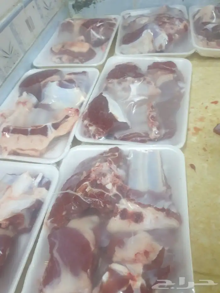 حري لباب بيتك خرفان تيوس سواكن 18