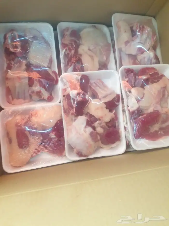 حري لباب بيتك خرفان تيوس سواكن 22