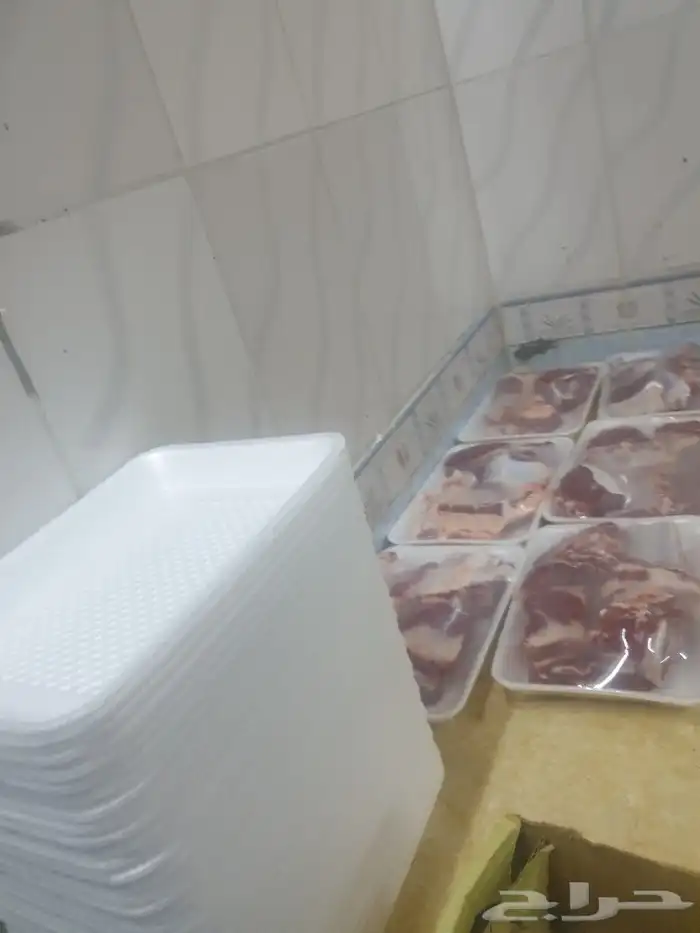 حري لباب بيتك خرفان تيوس سواكن 19