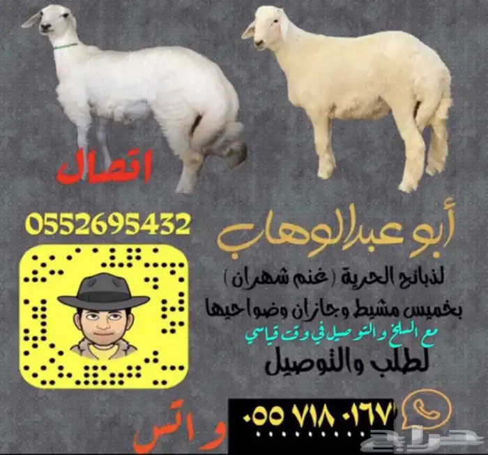 ذبايح فاخره مع السلخ والتوصيل 32