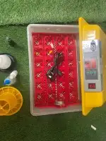 فقاسات جميع مقاسات مع هدايا وضمان وشحن مجانيه 1