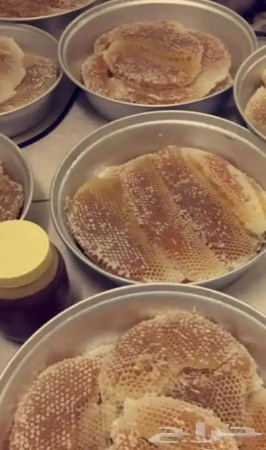 عسل السدره الجبلي وطلحه وسمره وملكي خاص وسلمه مضمون واصلي 1