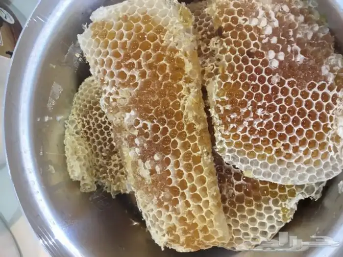 عسل السدره الجبلي وطلحه وسمره وملكي خاص وسلمه مضمون واصلي 4