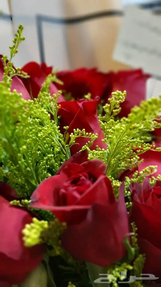 باقات وهدايا 20