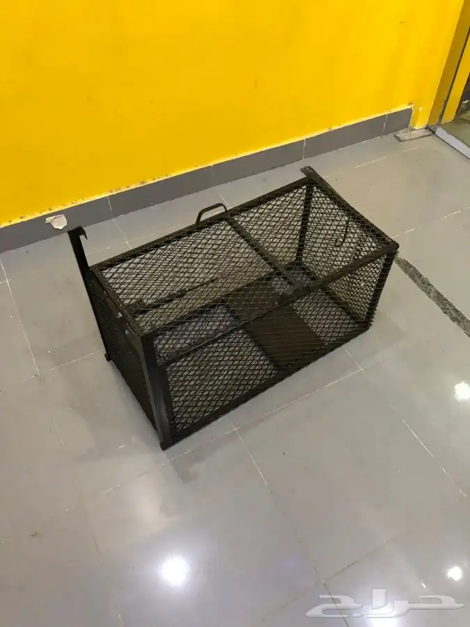 مصيده قطط نمس 1