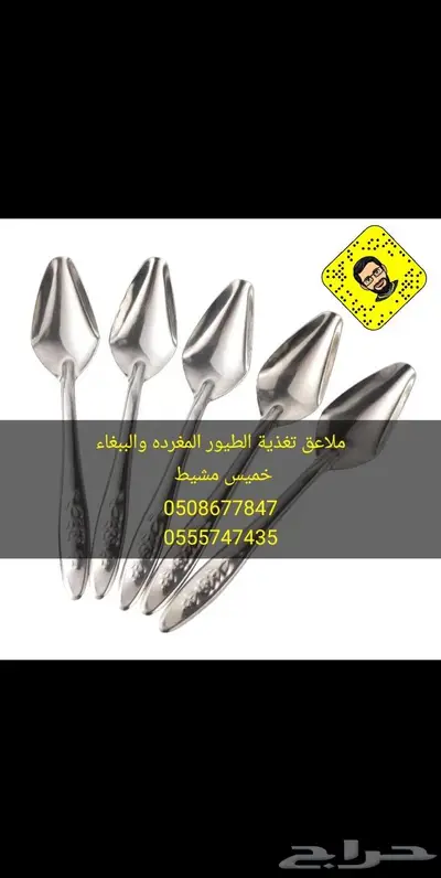 مستلزمات الطيور المغرده كناري بادجي كروان 37
