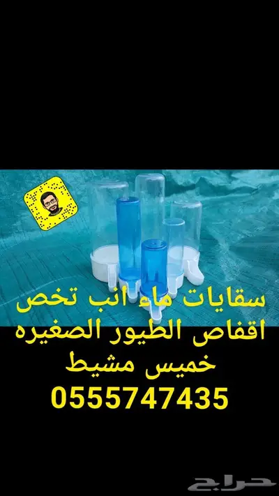 مستلزمات الطيور المغرده كناري بادجي كروان 20