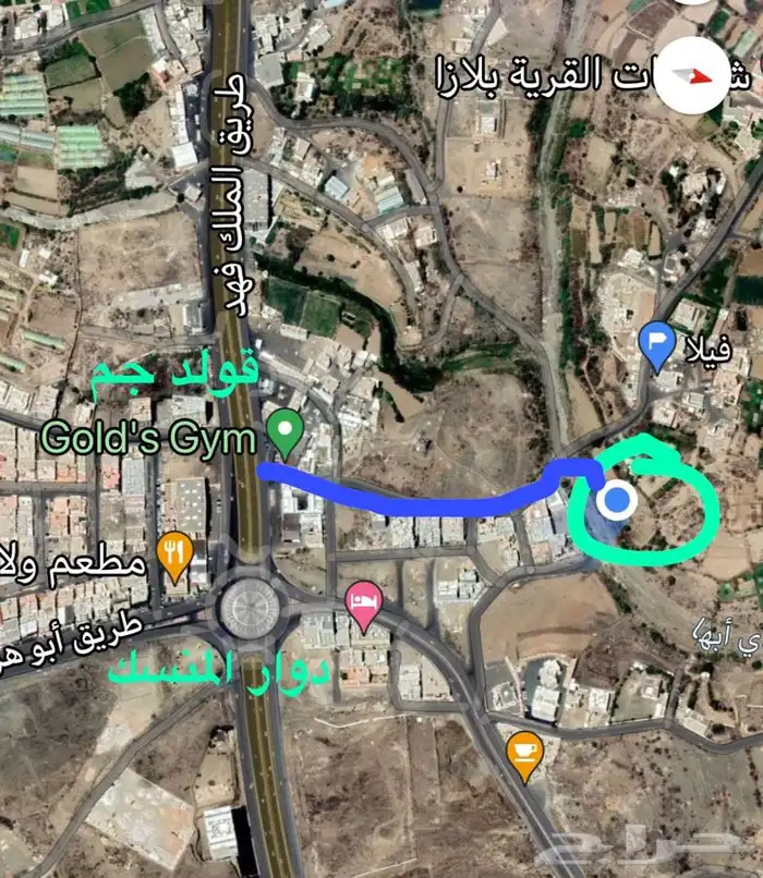 مشتل لبيع الأشجار المثمره و الزينه 11