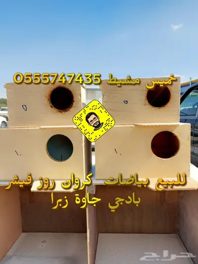 مستلزمات الطيور المغرده كناري بادجي كروان 46