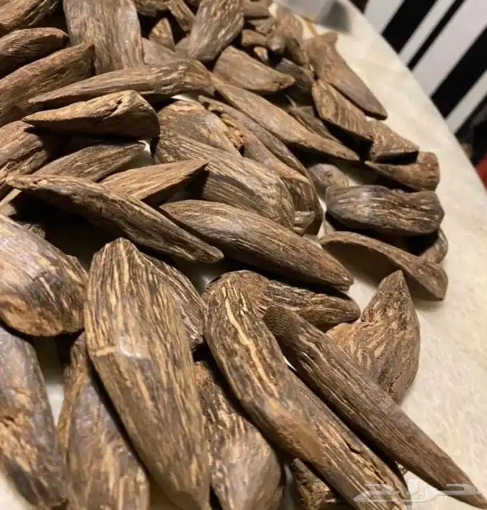 عود - مروكي تراااابي وصل 0