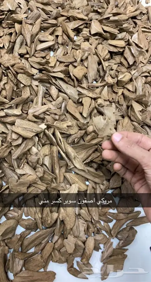 الكلمنتان الازرق بيور 1200 للكيلو 4