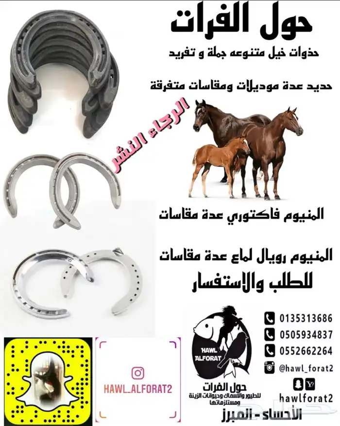 مستلزمات فروسية و الخيل والاسطبلات 5