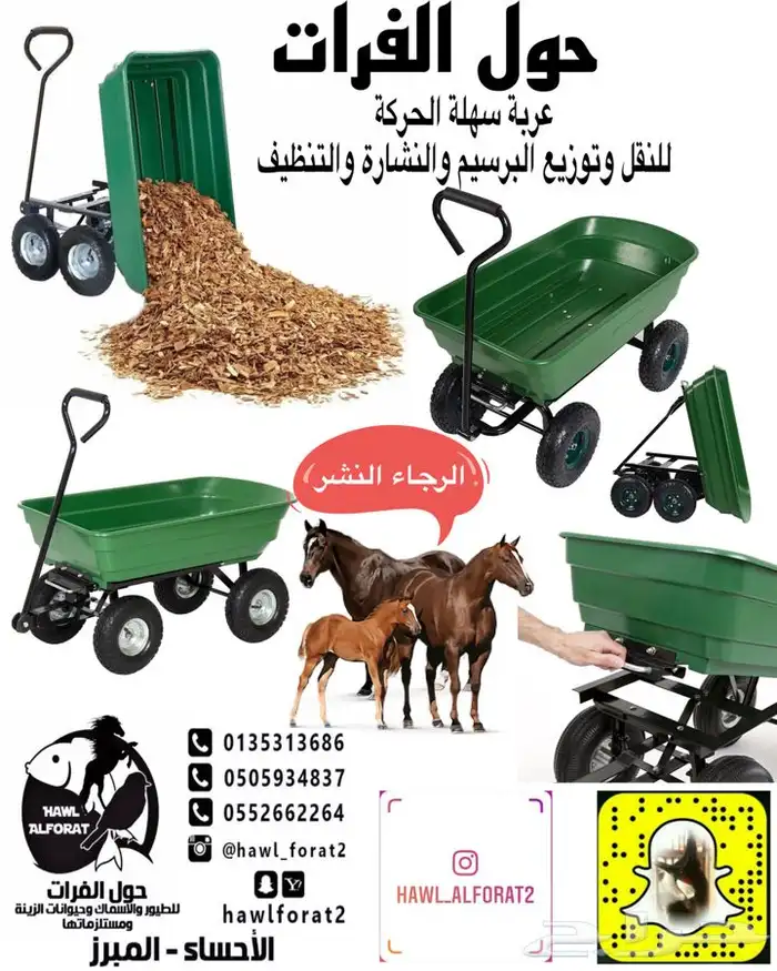 مستلزمات فروسية و الخيل والاسطبلات 0