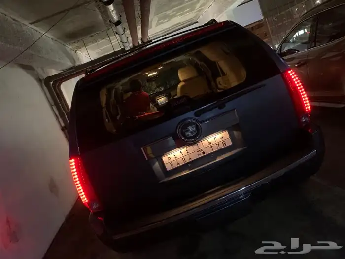 توصيل قطط طيور كلاب جده الطايف الرياض و جميع مناطق المملكه 5