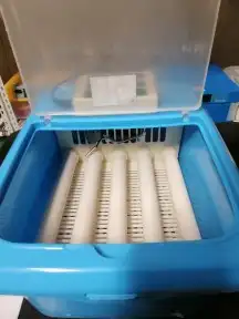 فقاسات نتافات مع هدايا وضمان وشحن مجانيه 9