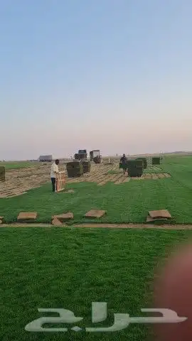 ثيل سي 2000 درجة اولى 7