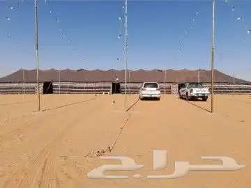 مجهز مخيمات وحفلات في الصياهد 0