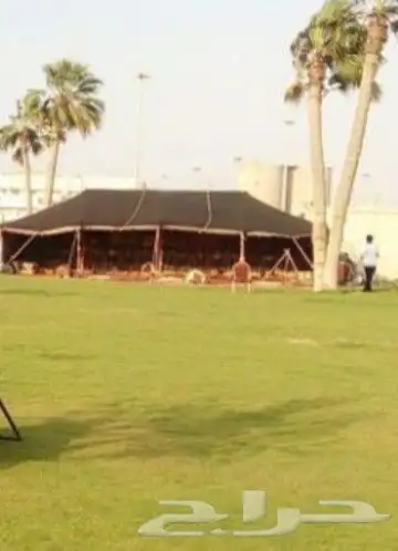 مجهز مخيمات وحفلات في الصياهد 3