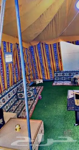 خيام باكستانيه 3 غاط بافضل سعر 33