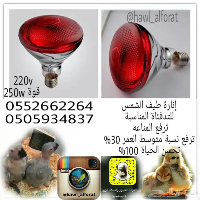 فقسات و قطع غيار الفقسات 10