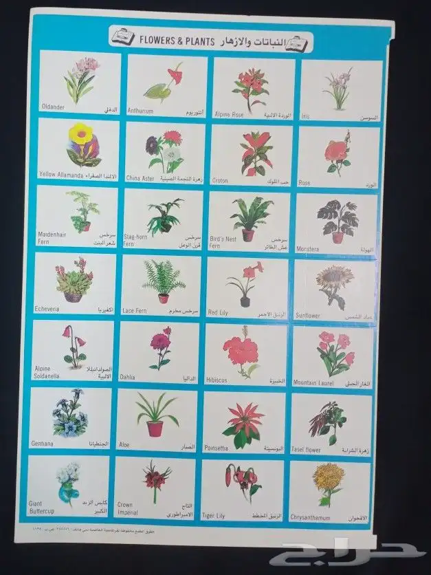 تراثيات الزمن الجميل 23