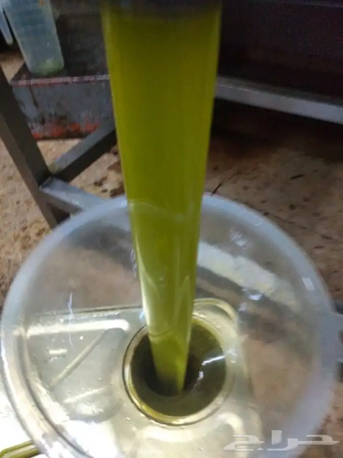 زيت زيتون بكر ممتاز 4