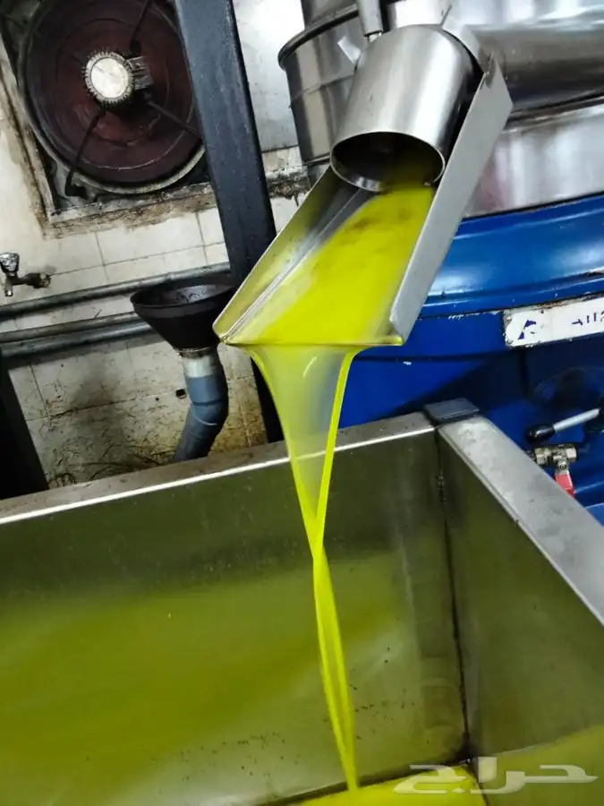 زيت زيتون بكر ممتاز 2